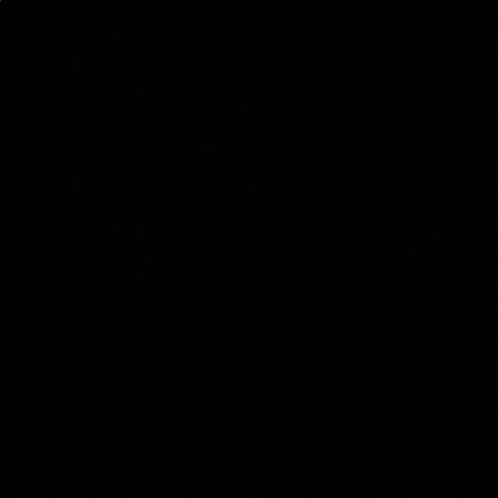 Meet your Posher, Carmen